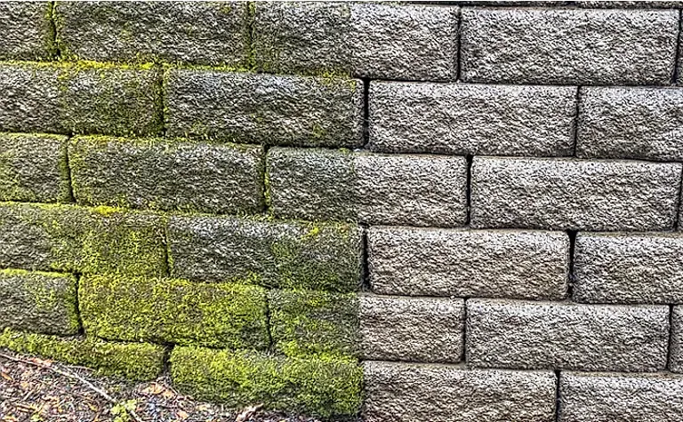 Before / After: Mossy garden wall cleaned