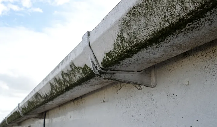 Before: Mossy concrete gutter cleaned and resealed